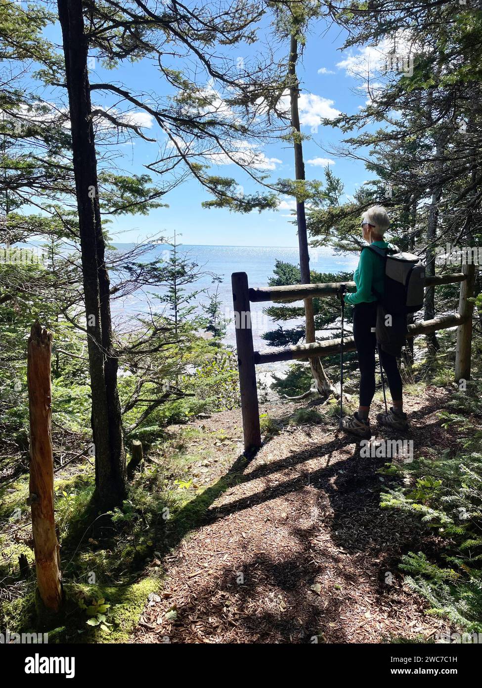 Punto panoramico di Irving Trail, St John, New Brunswick, Canada Foto Stock