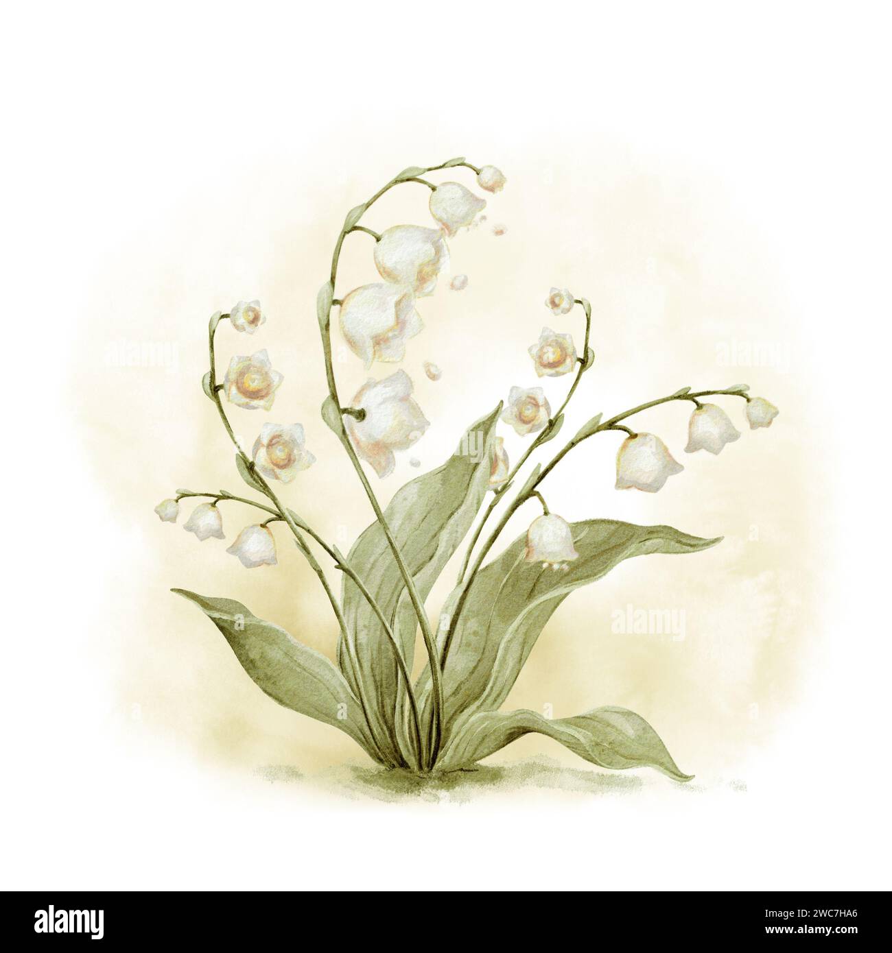 Lily of the Valley Watercolor Print. Illustrazione del Giglio dei Fiori d'acquerello della Valle. Decorazioni in stile vivaio vintage Clipart con fiori da giardino Foto Stock