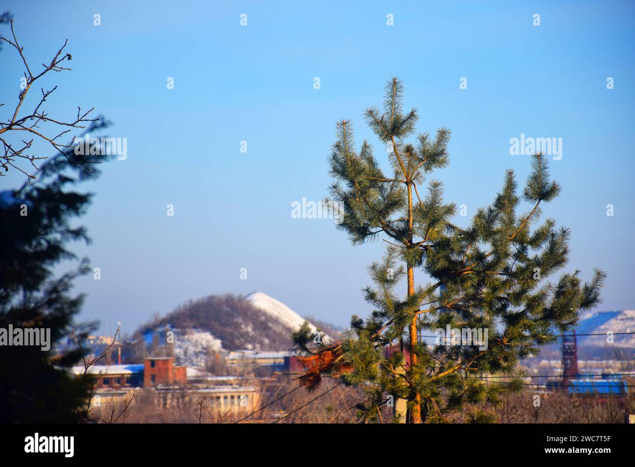 Paesaggio invernale intorno a whitehorse, yukon, con foresta innevata e catena montuosa, whitehorse, yukon, canada Foto Stock
