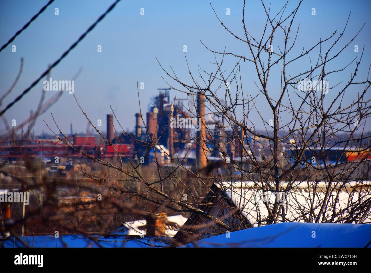Paesaggio invernale intorno a whitehorse, yukon, con foresta innevata e catena montuosa, whitehorse, yukon, canada Foto Stock