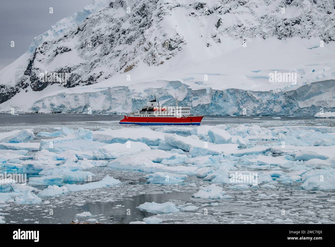 Neko Harbor, Antartide, vista del porto e della costa, nave da spedizione ancorata tra ghiaccio e riva, avventura ed emozioni in un viaggio indimenticabile Foto Stock