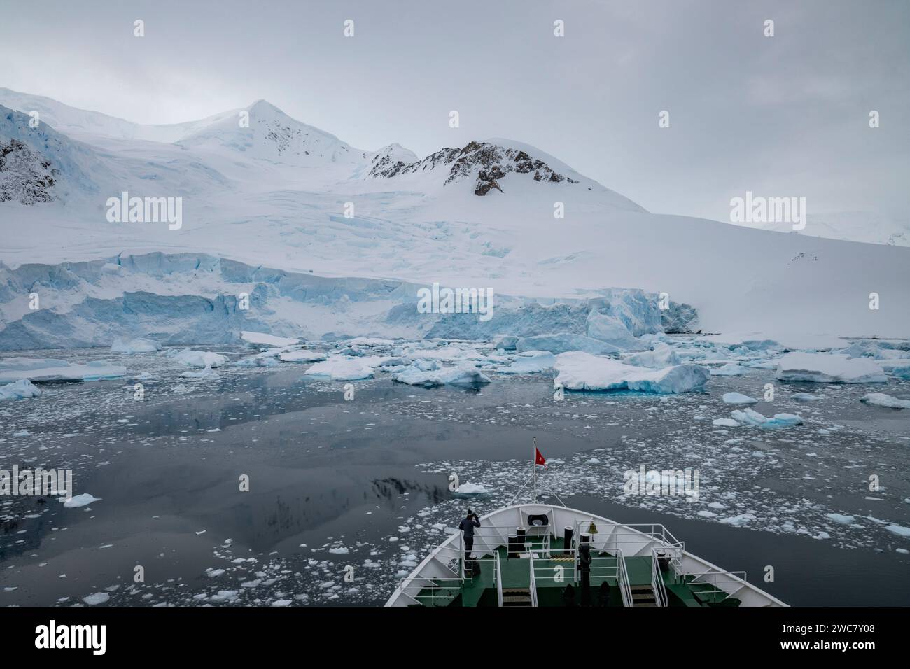 Neko Harbor, Antartide, vista del porto e della costa, nave da spedizione che naviga attraverso acque piene di ghiaccio, mostrando prua di nave e previsioni Foto Stock