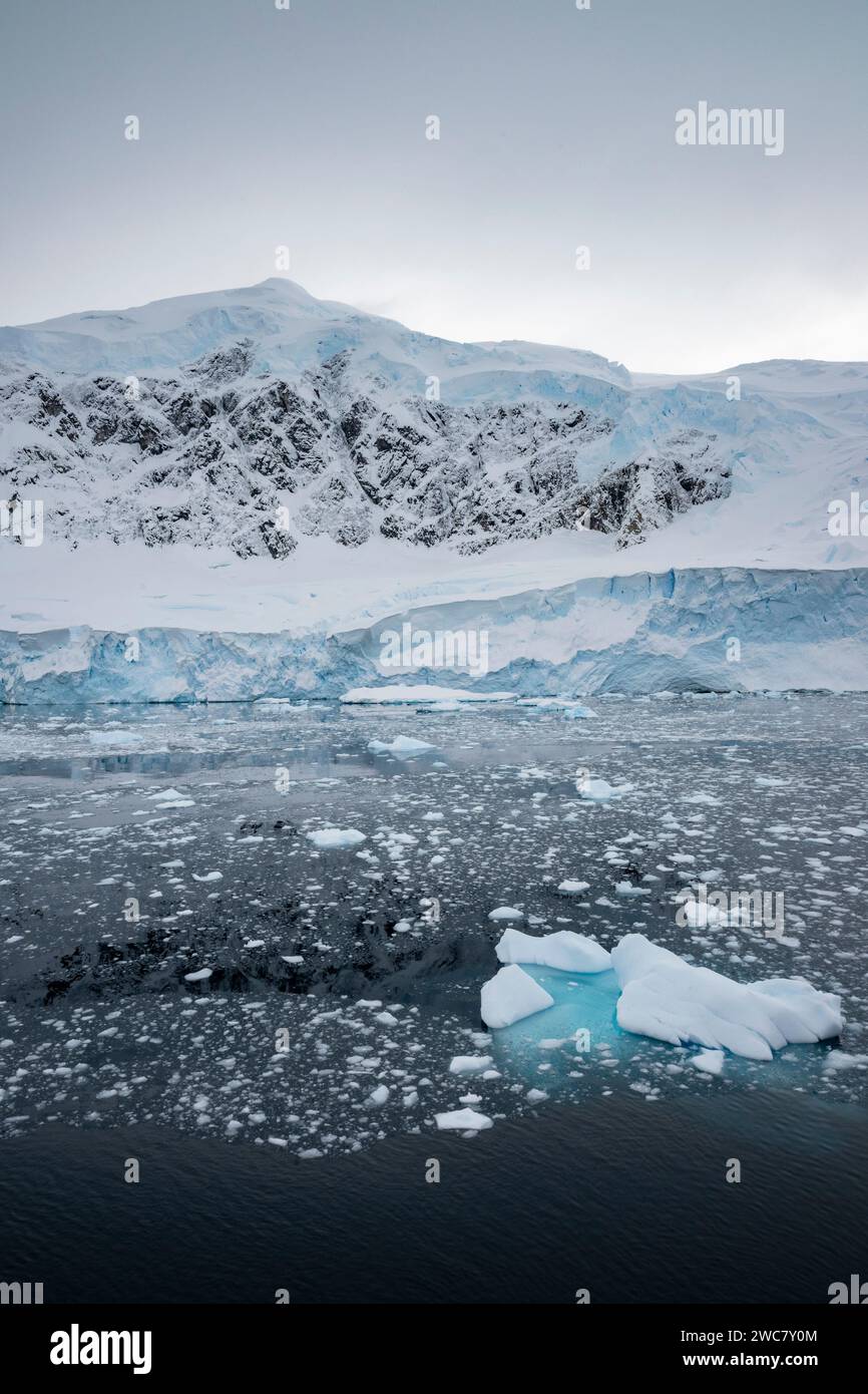 Porto di Neko, Antartide, vista del porto e della costa, piccoli iceberg e montagne innevate, piene di ghiaccio e galleggianti, ghiacciai che si distaccano Foto Stock