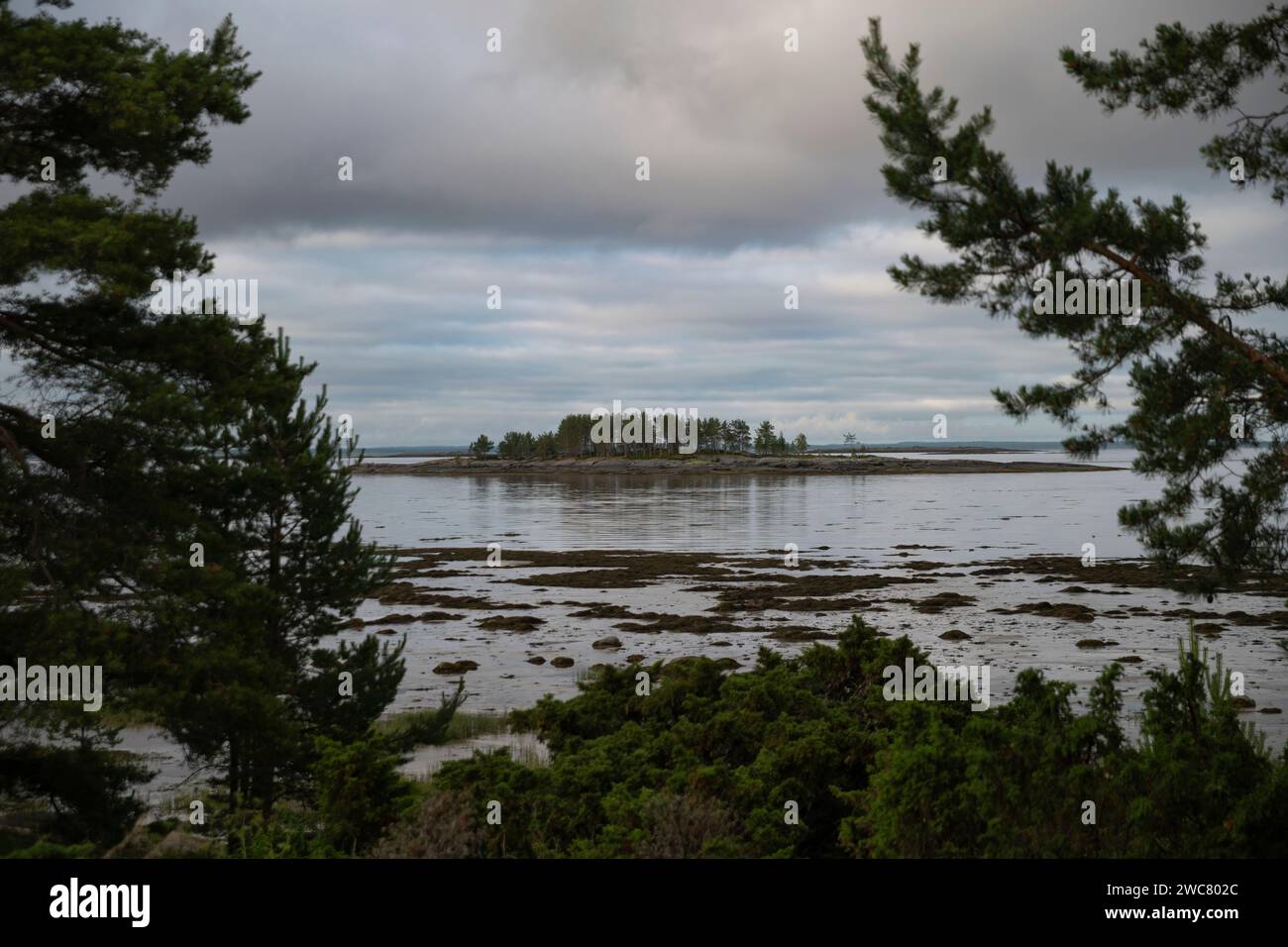 Una vista su una piccola isola di pietra attraverso lo stretto, il Mar bianco, la Russia Foto Stock
