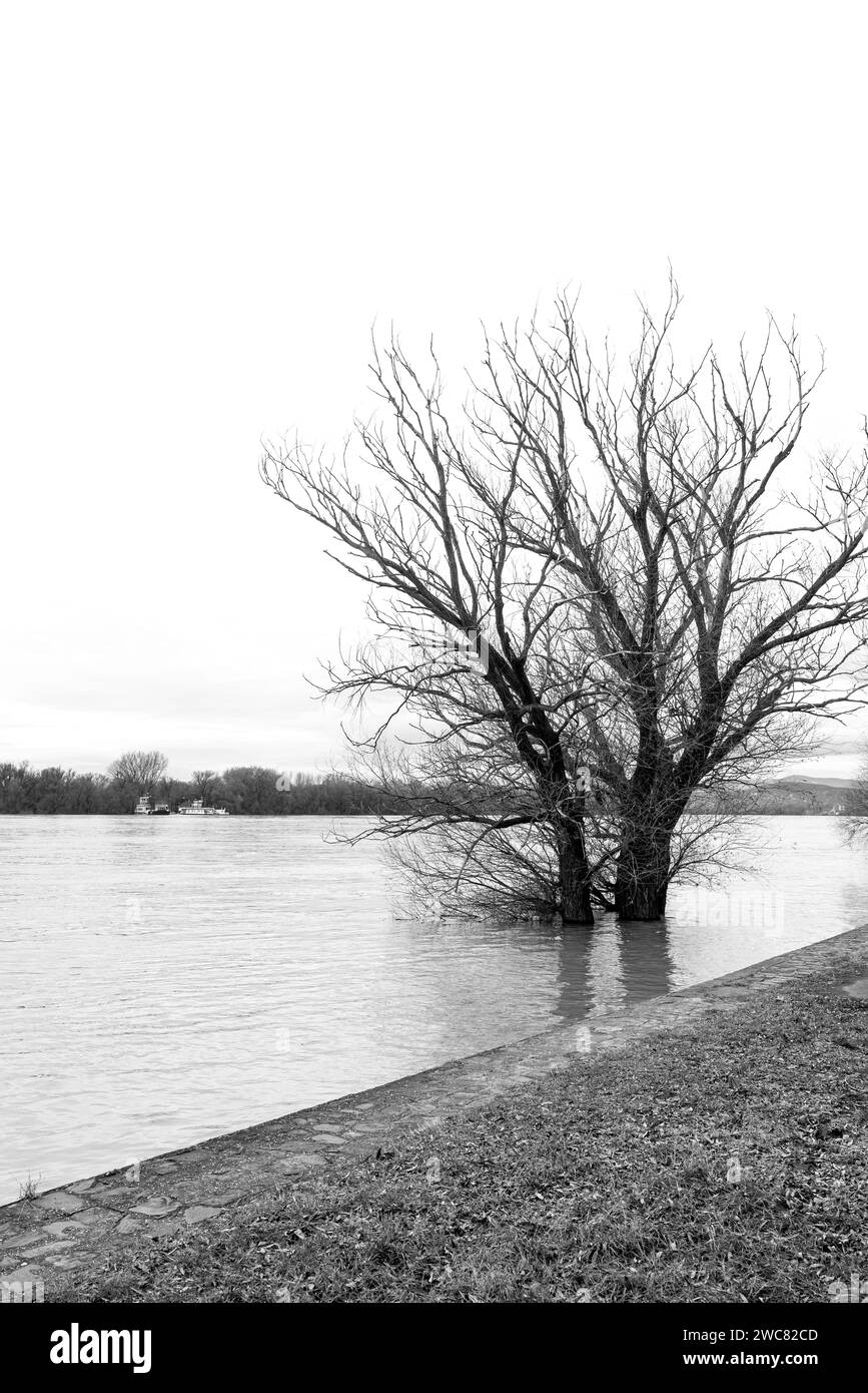 Orizzontale. alto livello dell'acqua nel fiume durante un'alluvione. alberi nell'acqua. Foto Stock