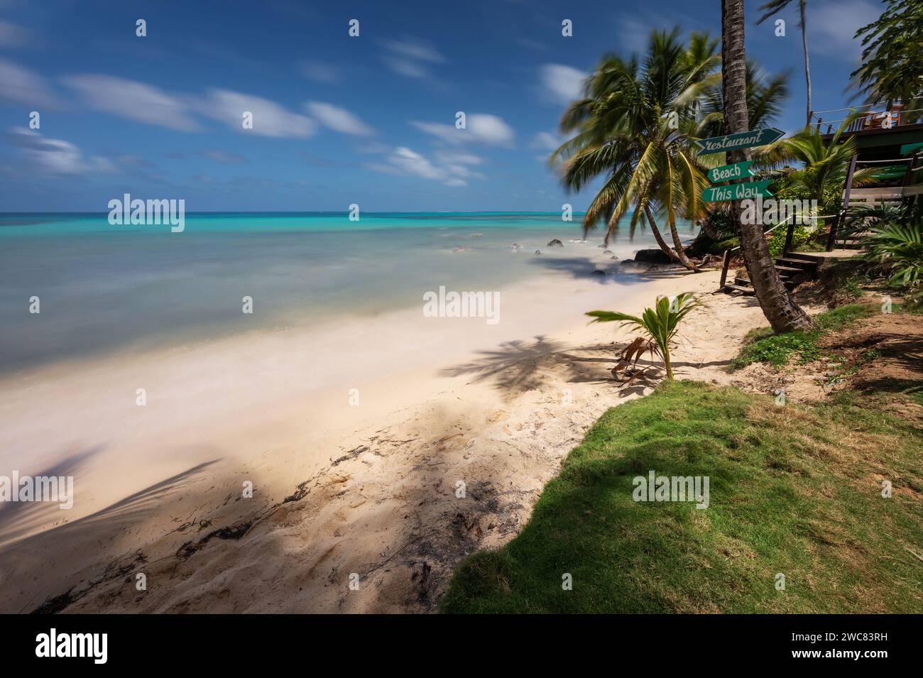 Spiaggia di sabbia tropicale con mare blu e ombra in palma Foto Stock