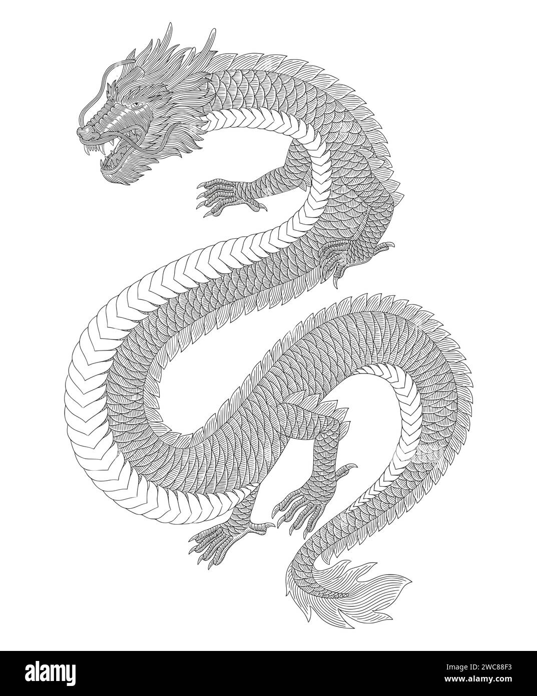 illustrazione in stile disegno con incisione vintage a forma di drago Illustrazione Vettoriale