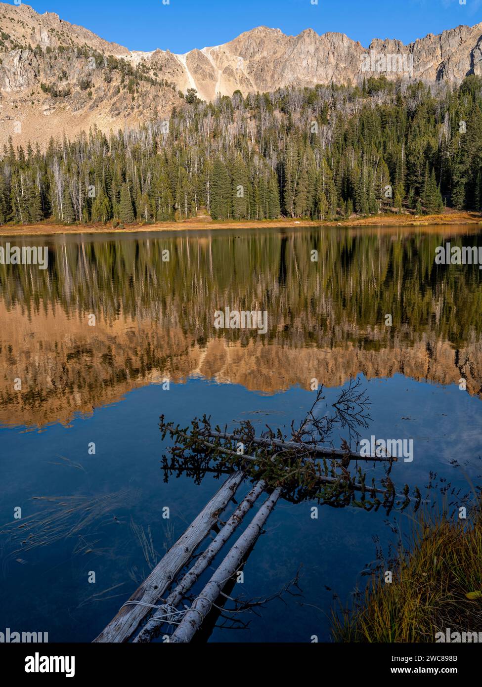 Gli alberi nel lago puntano verso le montagne e la riflessione della foresta Foto Stock