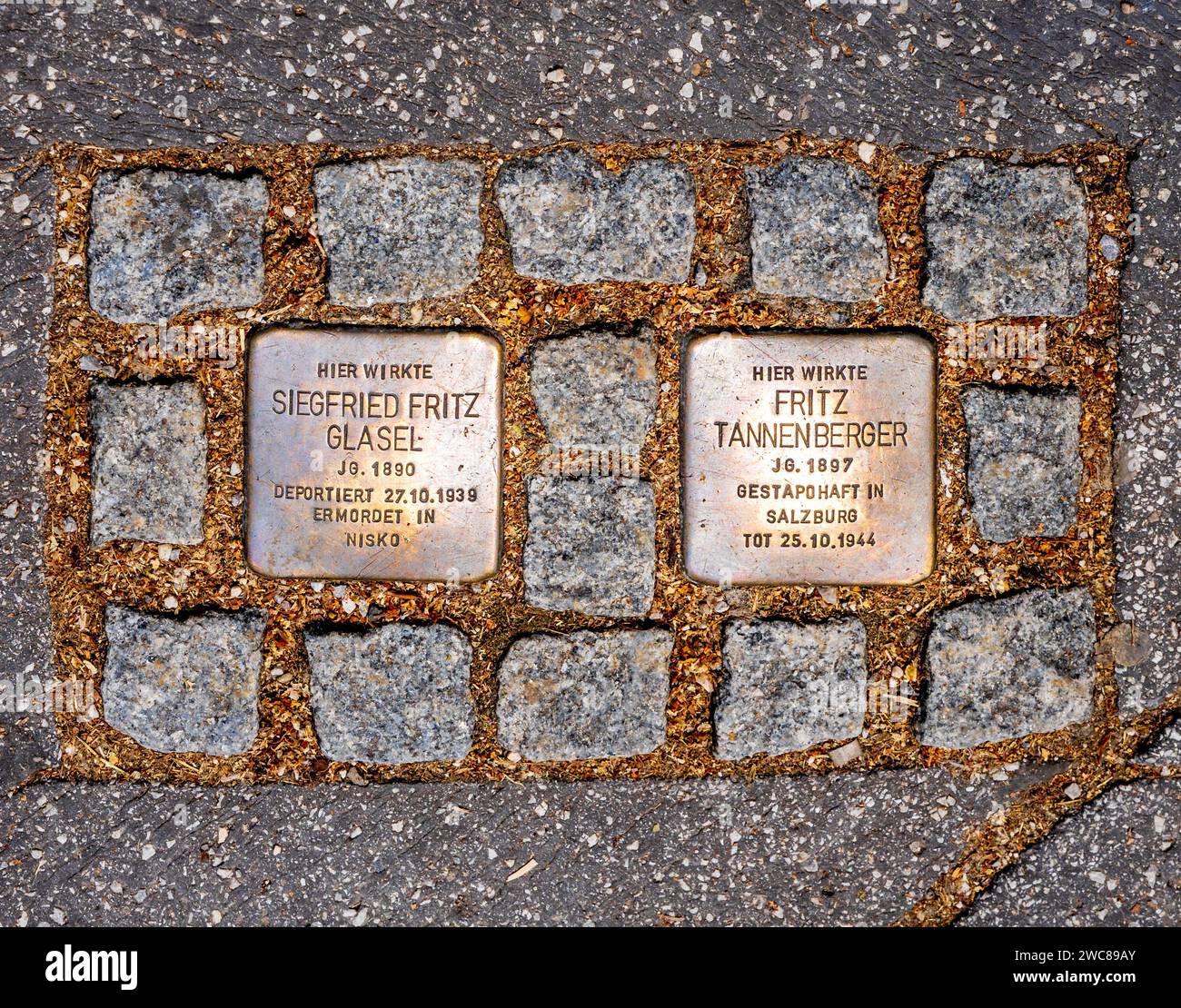 Salisburgo, AT - 7 giugno 2023 Vista panoramica di due Stolpersteins o "pietre inciampo", una lastra di ottone con il nome e le date di vita delle vittime Foto Stock