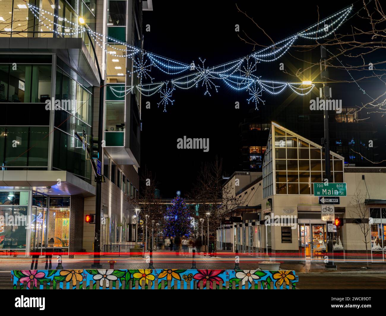 Albero di Natale della città di Boise di notte Foto Stock