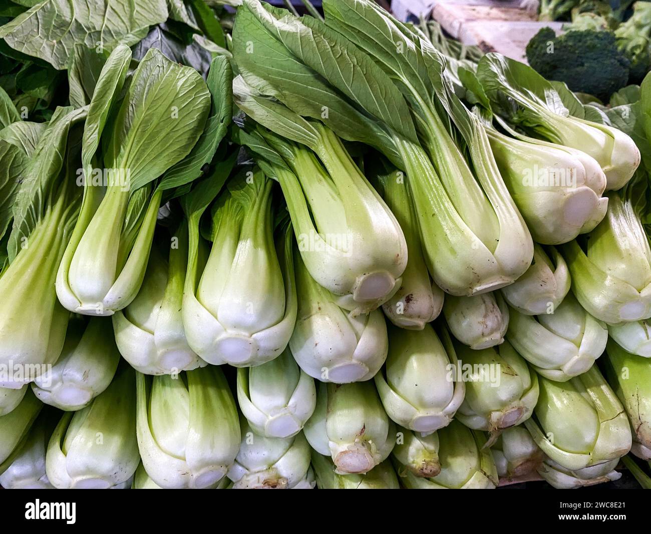 Mazzo di bok choy fresco in mostra al mercato agricolo. Foto Stock