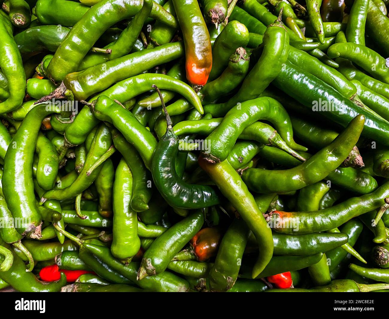 Sfondo di peperoncino verde. Vista ravvicinata con spazio di copia per la progettazione Foto Stock