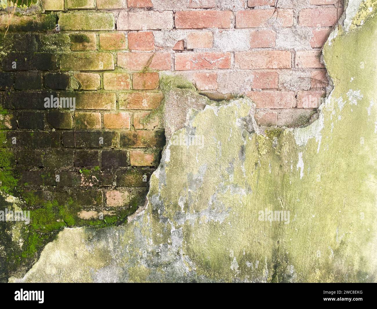 Sfondo grigio vuoto che mostra una superficie ruvida in cemento Foto Stock
