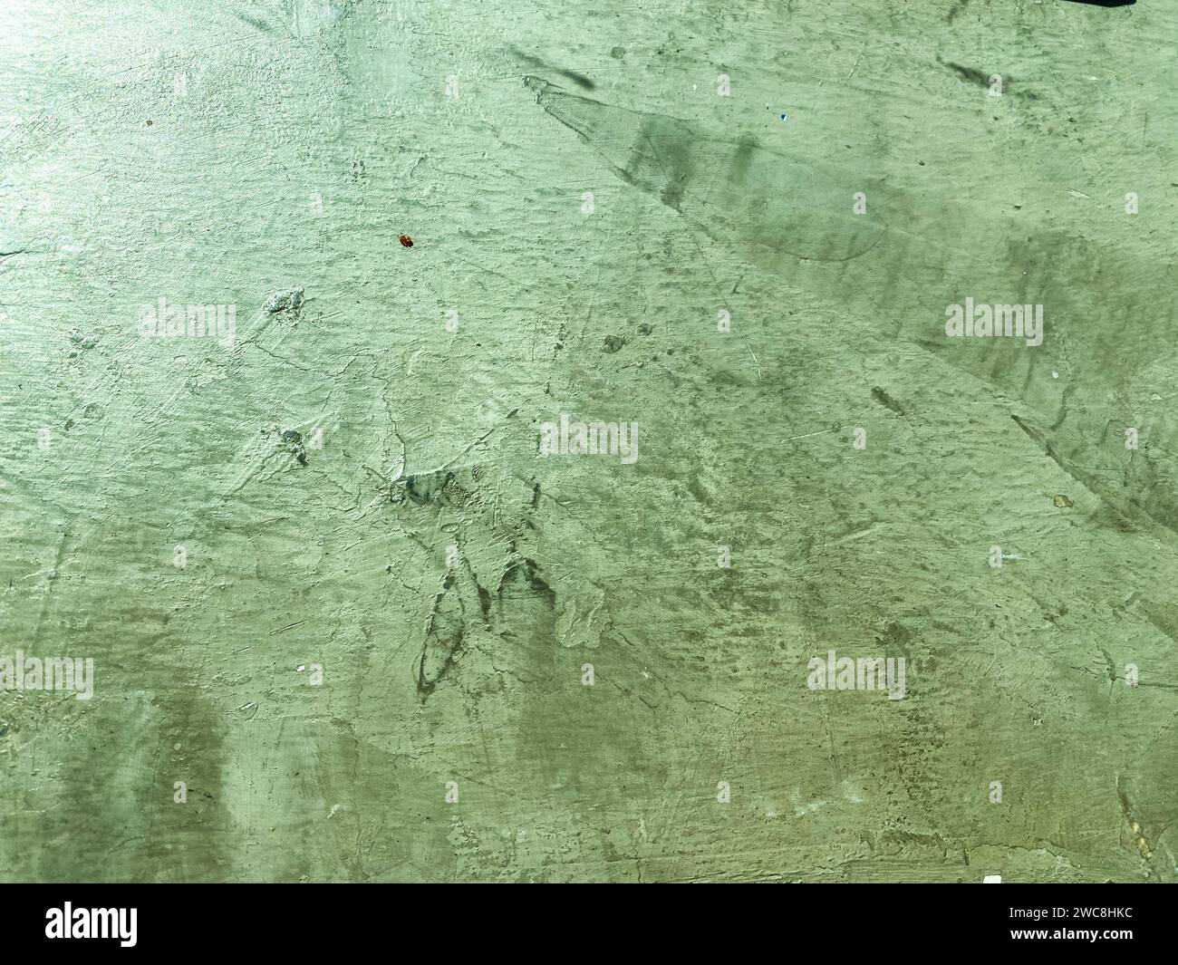 La texture grunge dello sfondo in cemento aggiunge un tocco di spigolatezza. Foto Stock