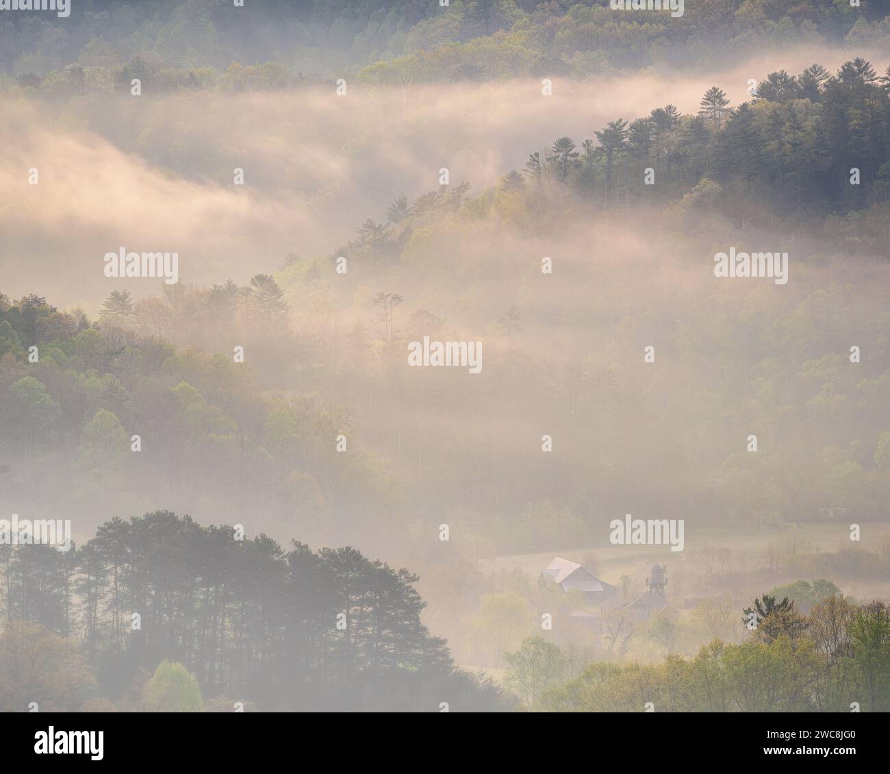 Mattina a quattro zampe da Foothills Parkway nel Great Smoky Mountains National Park, Tennessee Foto Stock