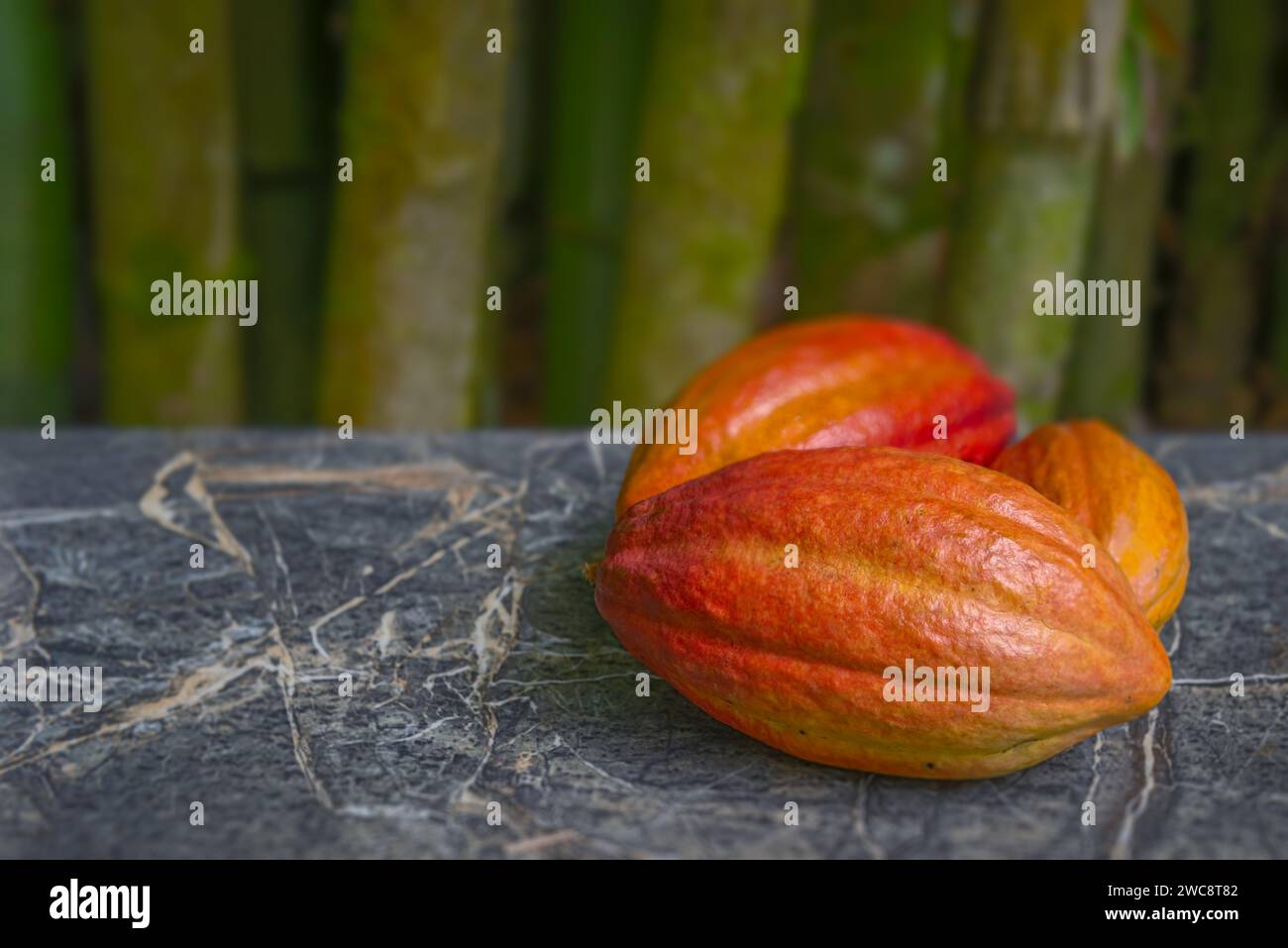 Le cialde di cacao sono ancora vive e riprendono i bamboo di marmo biologico sullo sfondo Foto Stock