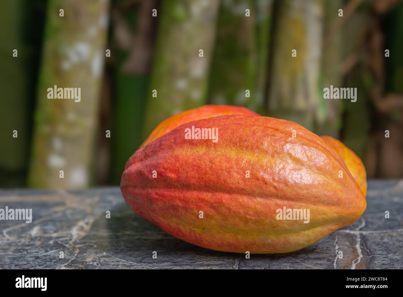 Le cialde di cacao sono ancora vive e riprendono i bamboo di marmo biologico sullo sfondo Foto Stock