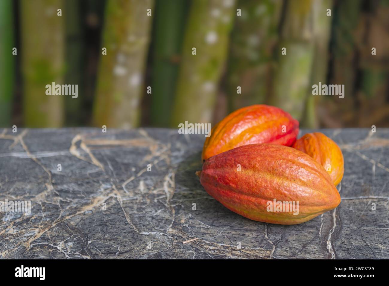 Le cialde di cacao sono ancora vive e riprendono i bamboo di marmo biologico sullo sfondo Foto Stock