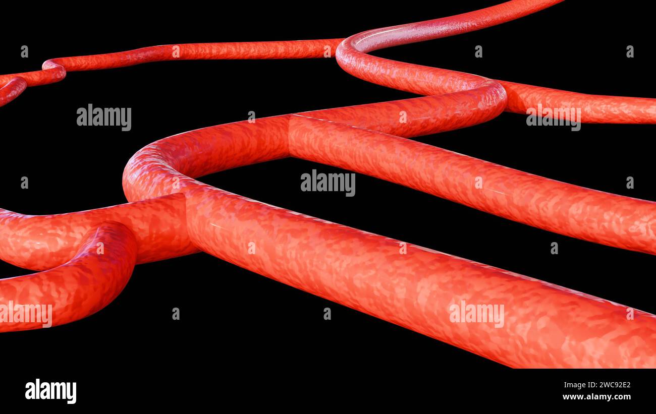 Primo piano di un vaso sanguigno su sfondo nero; rendering 3D. Foto Stock
