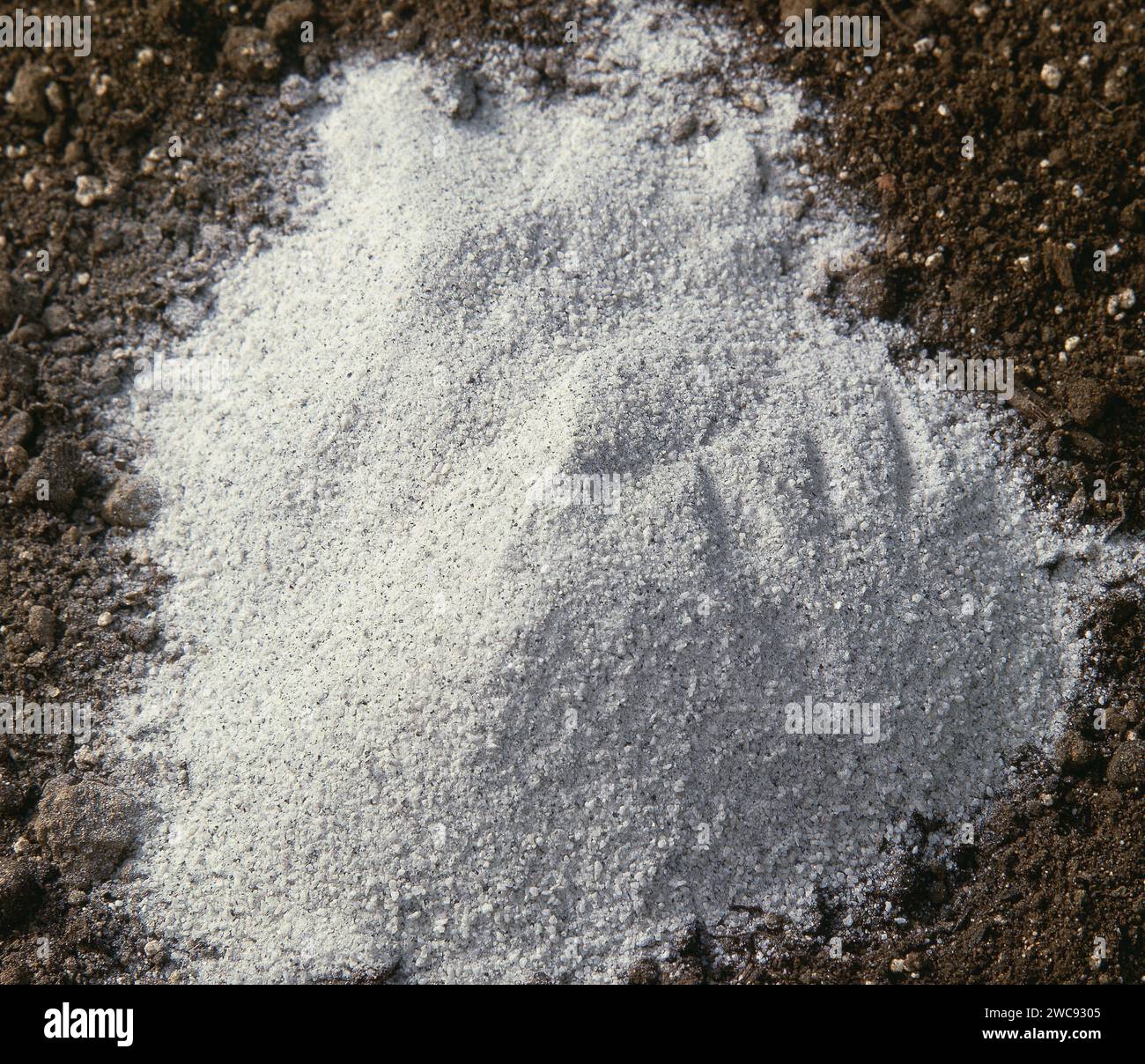 LA FARINA DI GRANITO (MODIFICA DEL SUOLO) MIGLIORA NOTEVOLMENTE LA STRUTTURA DEL SUOLO E PROMUOVE PIANTE PIÙ SANE. Foto Stock