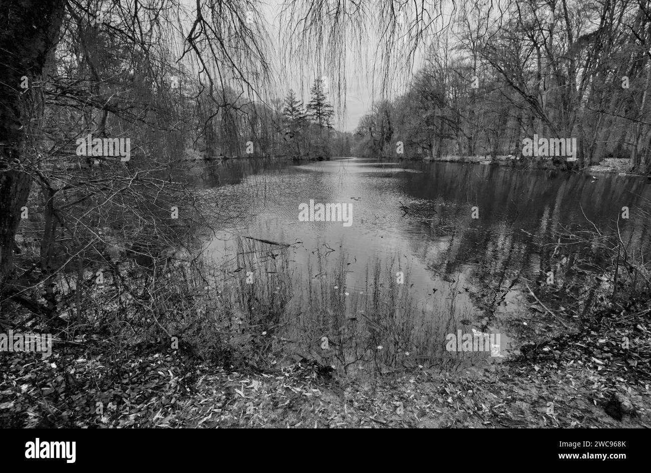 Fotografia in bianco e nero di una panoramica del lago Jacobiweiher (stagno di Giacomo il grande) a Francoforte sul meno, Assia, Germania Foto Stock