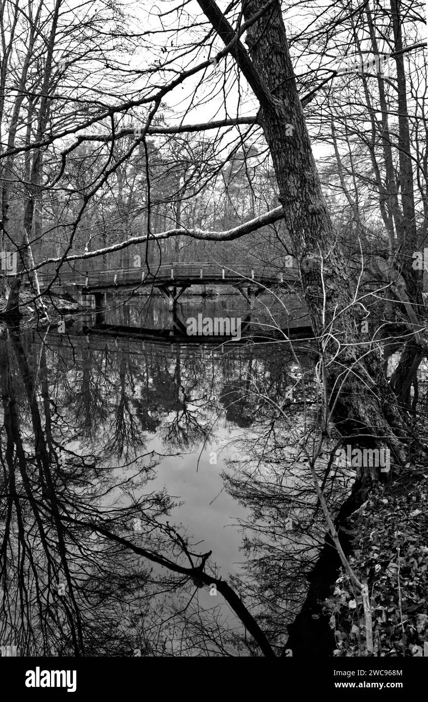 Fotografia in bianco e nero di un ponte di legno sul lago Jacobiweiher (stagno di Giacomo il grande) a Francoforte sul meno, Assia, Germania Foto Stock
