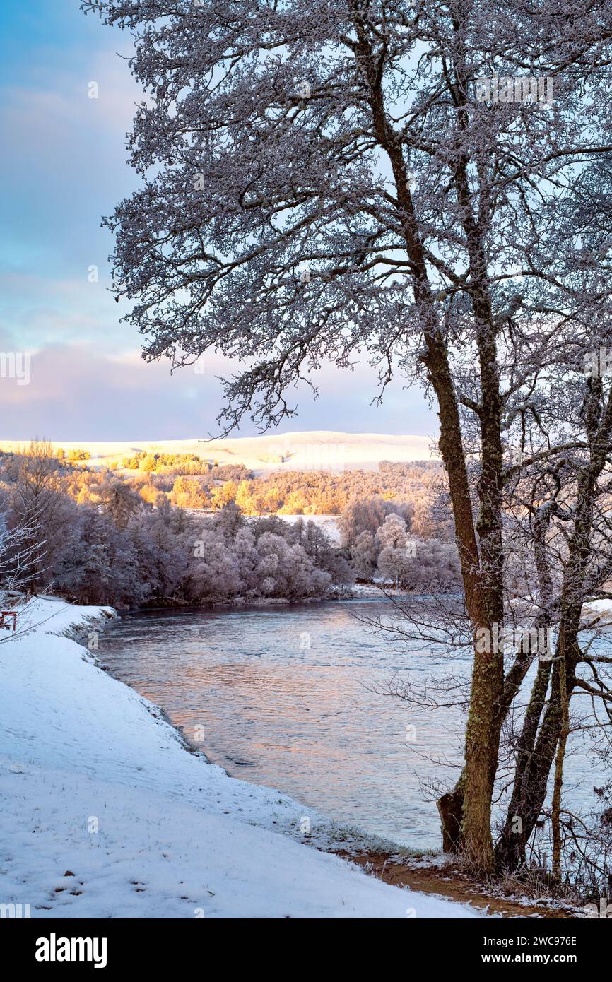 Frosty Tree e il fiume Spey nella neve. Speyside, Morayshire, Scozia Foto Stock