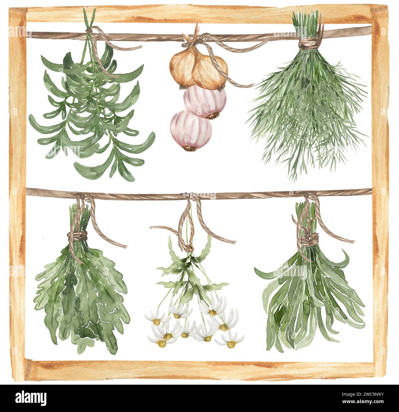 Acquerello di erbe e spezie appese sulla griglia di asciugatura illustrazione. Oggetti alimentari dipinti a mano: rosmarino, prezzemolo, origano, timo, cipolla, daisy bouqu Foto Stock