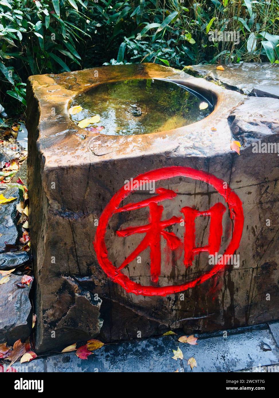 cinese simbolo di una lingua straniera Foto Stock
