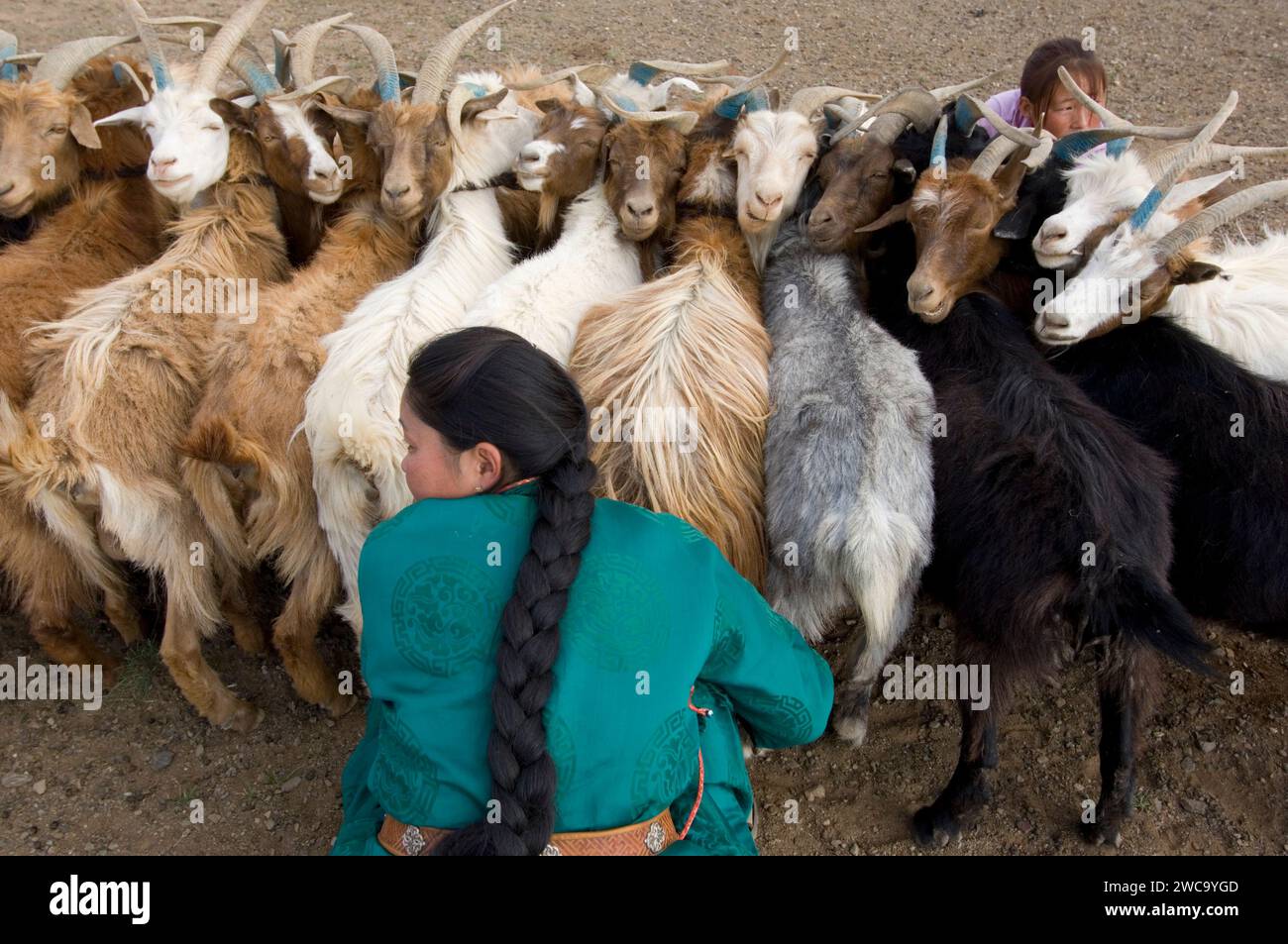 Pastori mongoli, Gobi Foto Stock