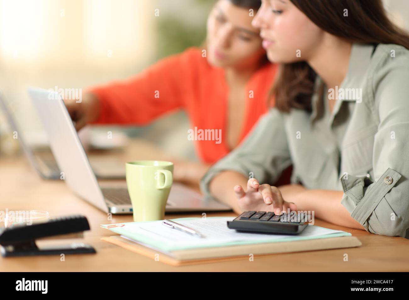 Lavoratori telematici concentrati che lavorano online a casa con notebook Foto Stock