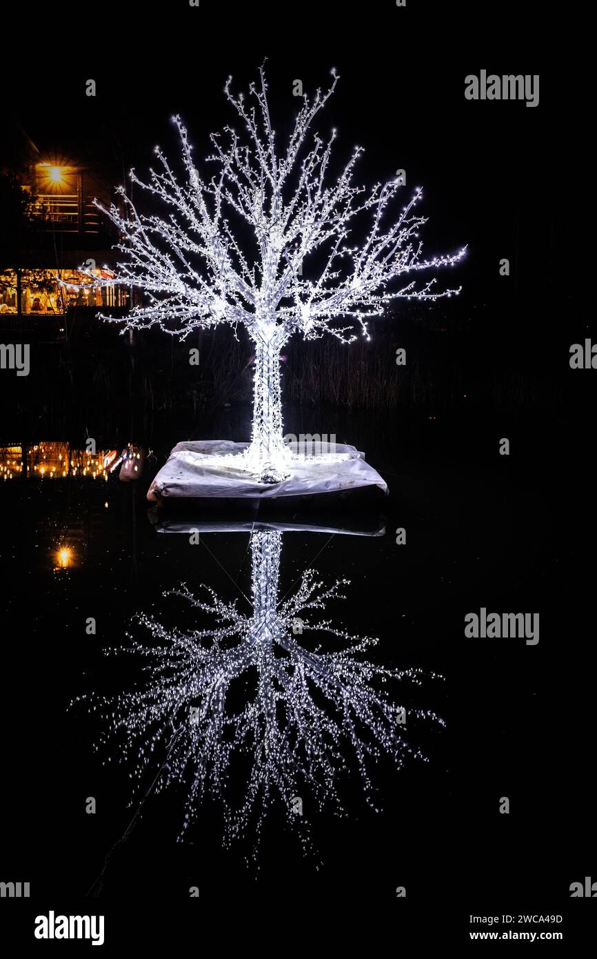 Albero illuminato come parte delle luci invernali del Woburn Centre Parcs. Foto Stock