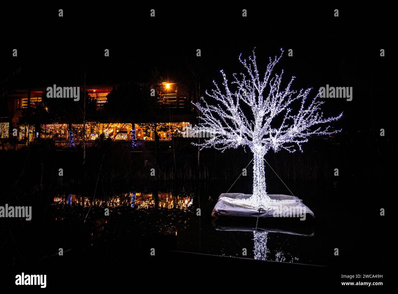 Albero illuminato come parte delle luci invernali del Woburn Centre Parcs Foto Stock