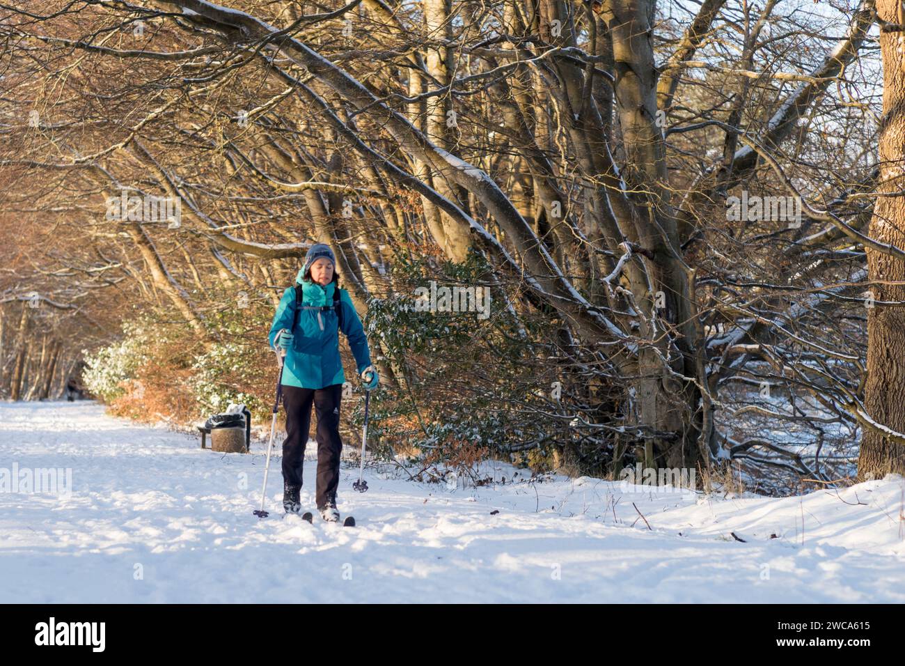 Meteo UK Aberdeen, Scozia, Regno Unito. 15 gennaio 2024. Una pista pendolare per lavorare sul sentiero Deeside Way dopo una forte neve nella Scozia orientale, Cults Aberdeen Scozia questa mattina. Credit Paul Glendell Credit: Paul Glendell/Alamy Live News Foto Stock