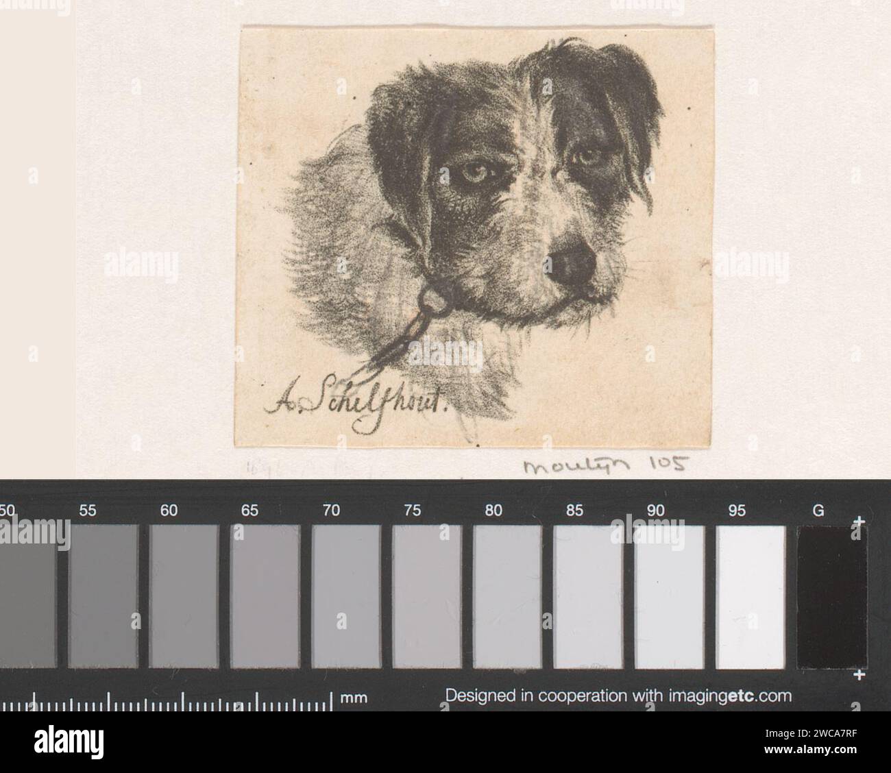 Dogkop, Andreas Schelfhout, 1813 - 1833 stampa il cane di carta dell'Aia Foto Stock