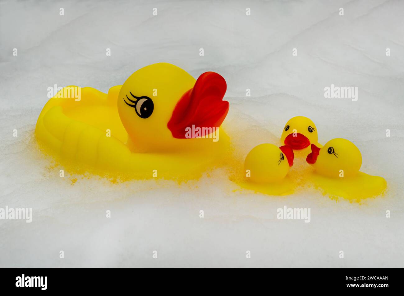 Una grande anatra di gomma gialla con becco rosso e occhi espressivi è circondata da tre anatre di gomma più piccole su uno sfondo di schiuma bianca. Foto Stock