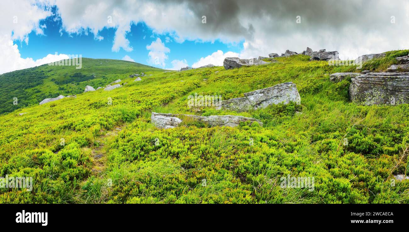 paesaggi delle montagne dei carpazi in estate. paesaggio naturale con massi sulle colline erbose. viaggia verso gli altopiani alpini ucraini su una soleggiata w Foto Stock