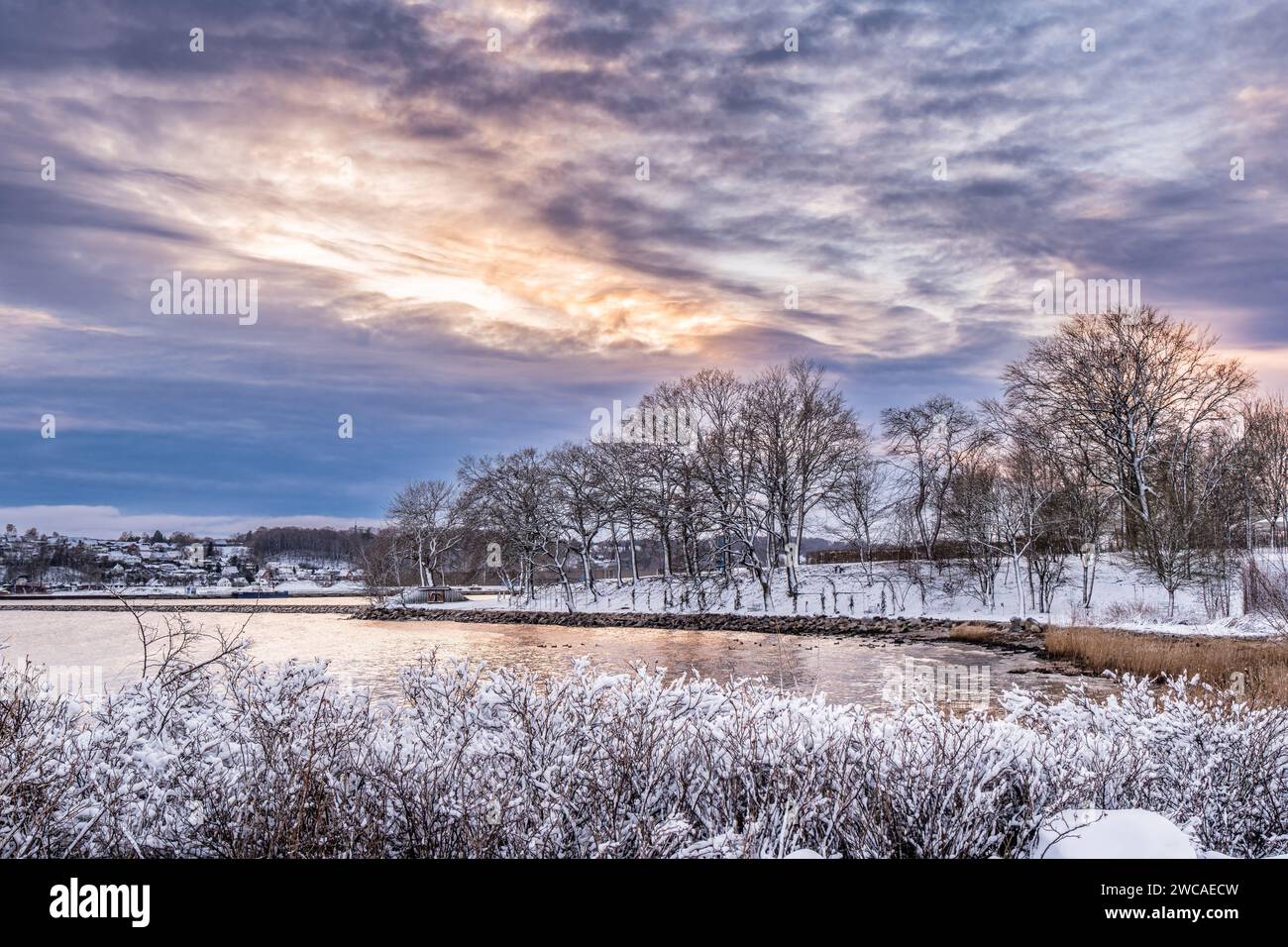 Fiordo di Vejle, parte interna, in inverno, Danimarca Foto Stock