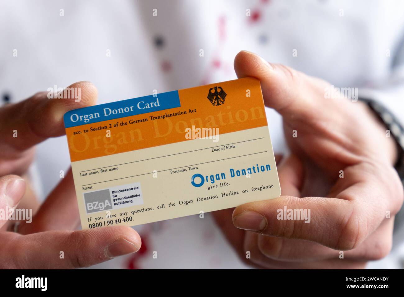 Augusta, Baviera, Germania - 14 gennaio 2024: Il giovane ha in mano una tessera donatrice di organi *** Junger Mann hält einen Organspendeausweis in der Hand Foto Stock