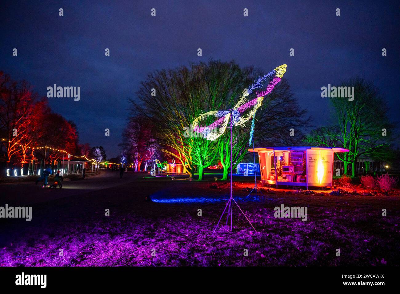 14.01.2024 Erfurt: Illuminierte Pflanzen und Bäume sowie vielfältige Lichtinstallationen sorgen im ega Park Erfurt während des Winterleuchtens für eine bezaubernde Atmosphäre. *** 14 01 2024 Erfurt ha illuminato piante e alberi e una varietà di installazioni luminose che creano un'atmosfera incantevole nel Parco ega Erfurt durante le luci invernali Foto Stock