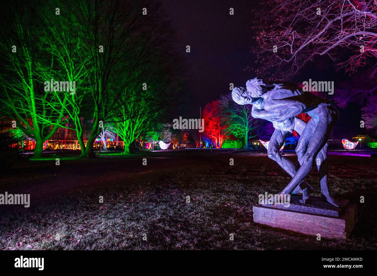 14.01.2024 Erfurt: Illuminierte Pflanzen und Bäume sowie vielfältige Lichtinstallationen sorgen im ega Park Erfurt während des Winterleuchtens für eine bezaubernde Atmosphäre. *** 14 01 2024 Erfurt ha illuminato piante e alberi e una varietà di installazioni luminose che creano un'atmosfera incantevole nel Parco ega Erfurt durante le luci invernali Foto Stock