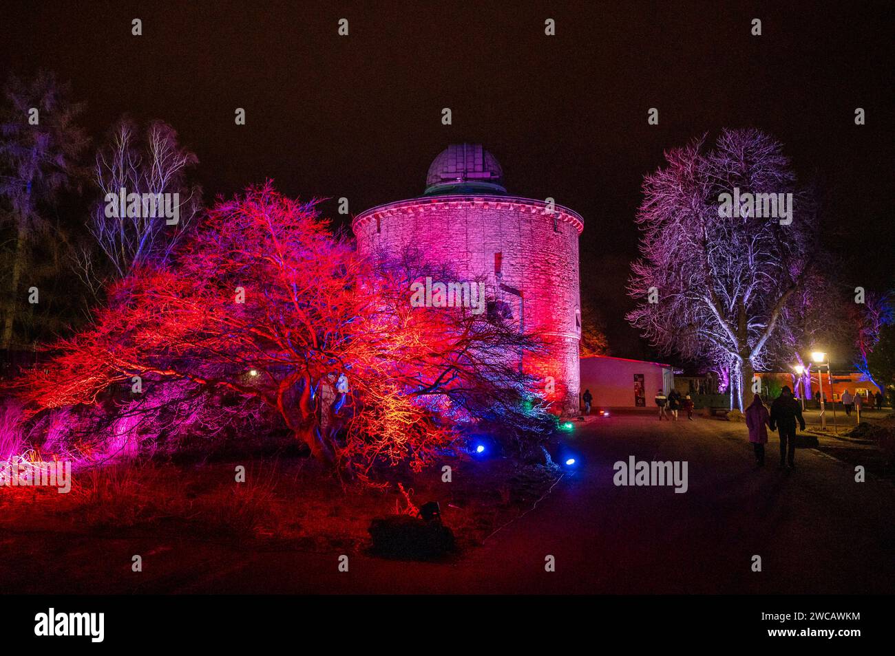 14.01.2024 Erfurt: Illuminierte Pflanzen und Bäume sowie vielfältige Lichtinstallationen sorgen im ega Park Erfurt während des Winterleuchtens für eine bezaubernde Atmosphäre. *** 14 01 2024 Erfurt ha illuminato piante e alberi e una varietà di installazioni luminose che creano un'atmosfera incantevole nel Parco ega Erfurt durante le luci invernali Foto Stock