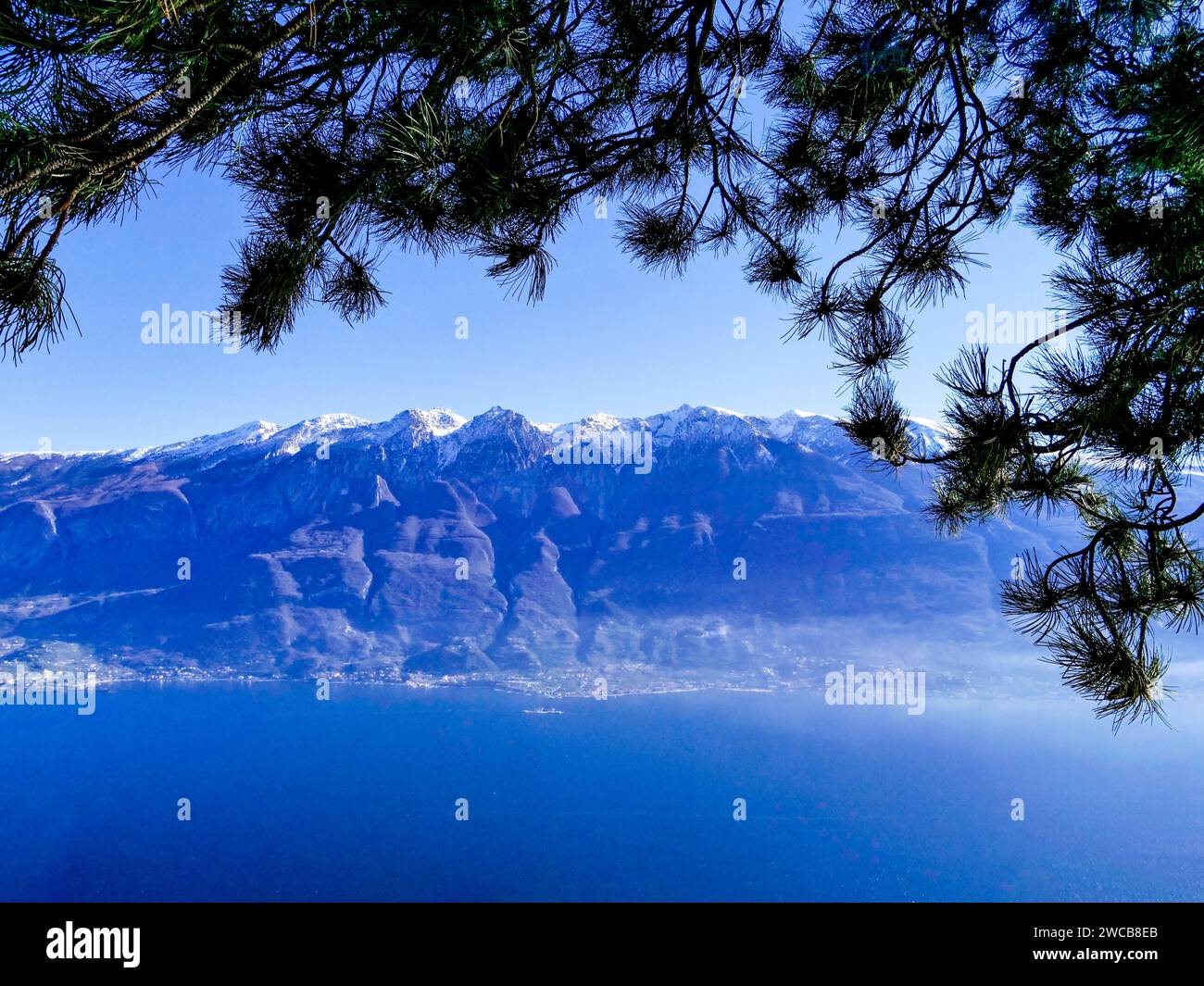 Vista da Tignale sul Lago di Garda del panorama delle cime innevate del Monte Baldo. Conifere in primo piano Foto Stock