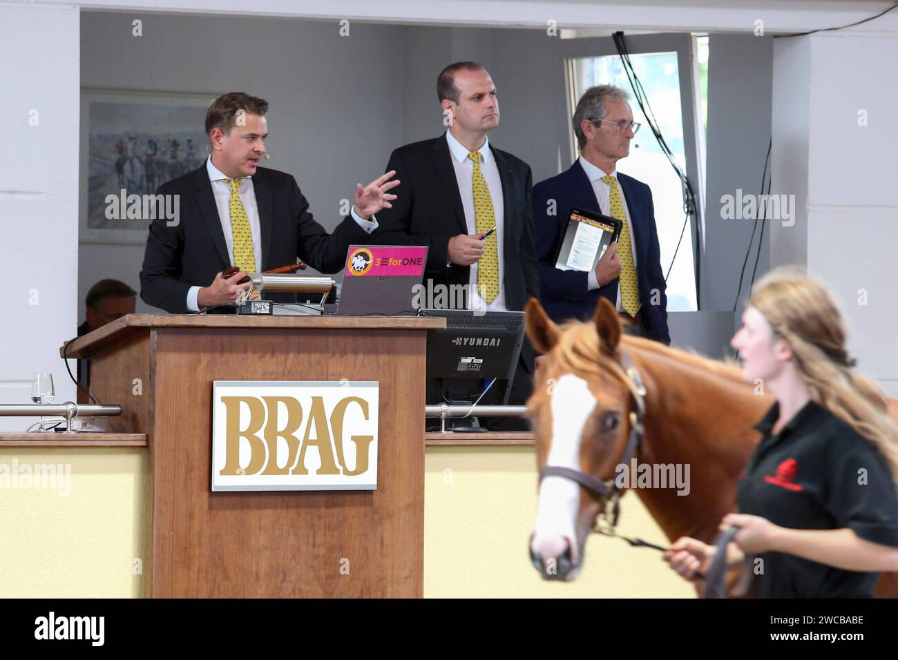 01.09.2023, Iffezheim, Baden-Wuerttemberg, GER - Symbolfoto: Pferdeauktion bei der BBAG. BBAG Jaehrlingsauktion. Auktionator, Franke, Ritratto, Ritratto, Pferd, auktionieren, versteigern, Versteigerung, Pferdeversteigerung, Pferdeauktion, Auktion, Baden-Badener Auktionsgesellschaft, Symbol, Symbolfoto, symbolisch, Symbolik 230901D520AUKTION.JPG *** 01 09 2023, Iffezheim, Baden Wuerttemberg, GER Symbol asta di cavalli fotografici al BBAG BBAG Jaehrlingsauktion auctioneer, Franke, ritratto, ritratto, cavallo, asta, asta, asta di cavalli, asta di cavalli, asta, Baden Badener Auktionsgesellschaft Foto Stock