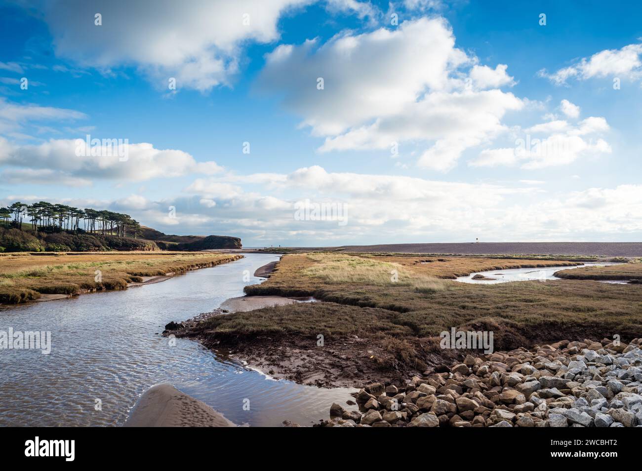 Progetto di restauro del fiume Lower Otter. Otter Head. Foto Stock