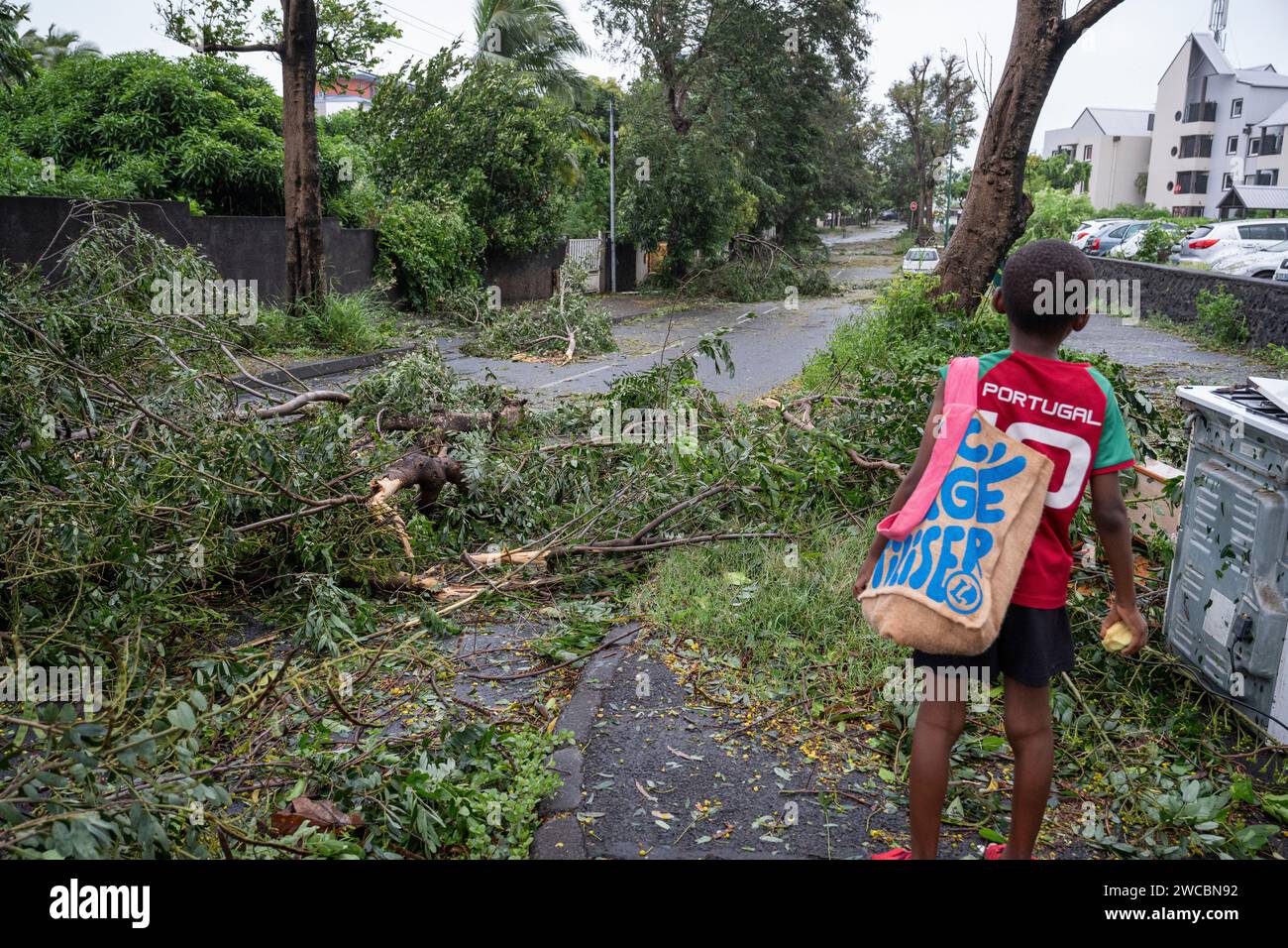 Un enfant constate les arbres arrachés qui encombrent une Route à Saint-Pierre, quelques heures après le passage du Cyclone Belal, le 15/01/24. Foto Stock