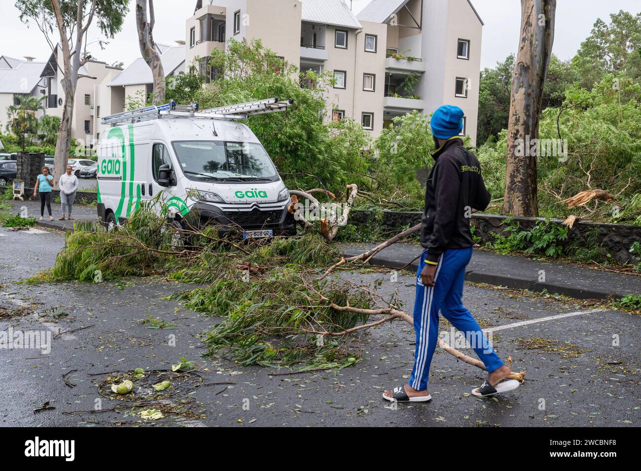 Un habitant constate les arbres arrachés qui encombrent une Route à Saint-Pierre, quelques heures après le passage du Cyclone Belal, le 15/01/24. Foto Stock