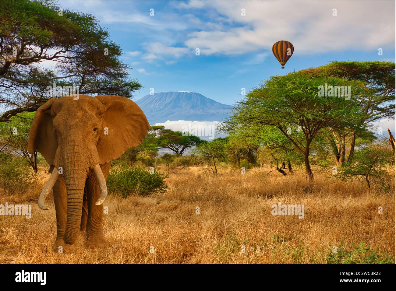 Elefanti e Monte Kilimanjaro nel Parco Nazionale di Amboseli Foto Stock