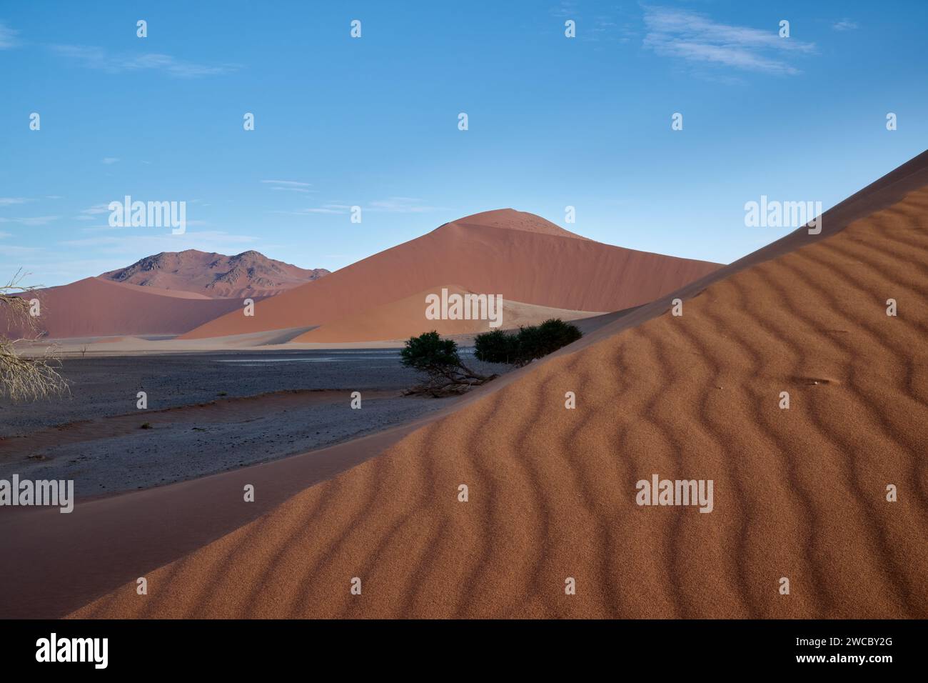 Forte vento che soffia sulle dune di sabbia del deserto del Namib, Namibia, Africa Foto Stock