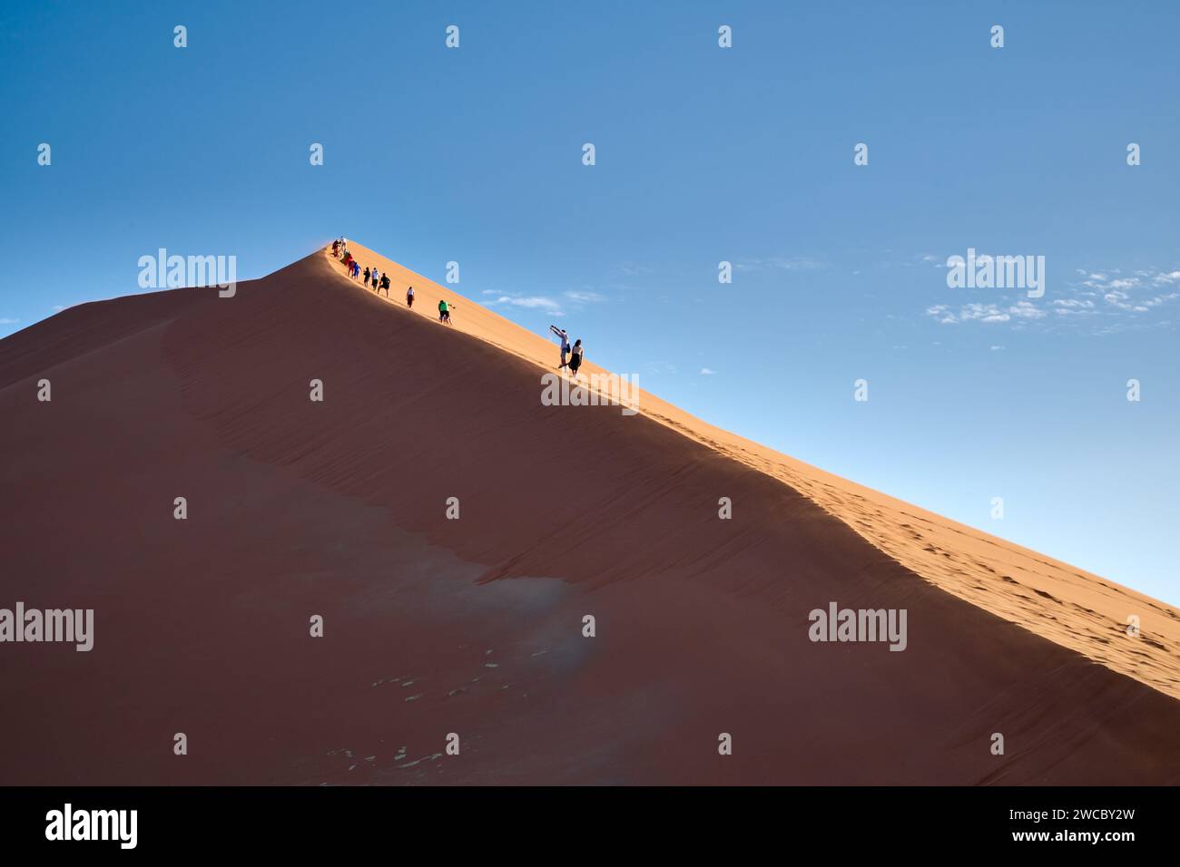 Gruppo di turisti che si arrampicano sulle dune di sabbia del deserto del Namib sotto il forte vento che soffia, Namibia, Africa Foto Stock
